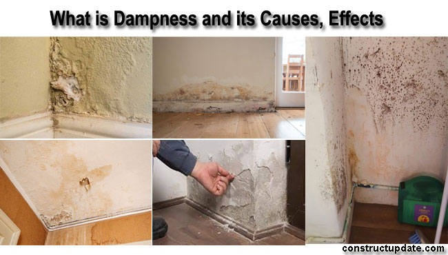 dampness and its causes