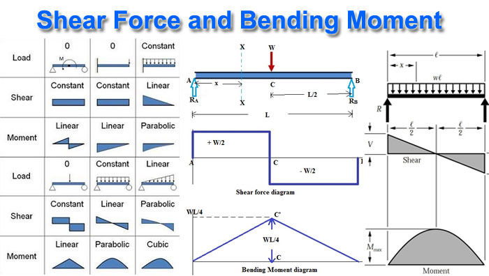 shear force and bending moment