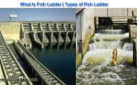 fish ladder