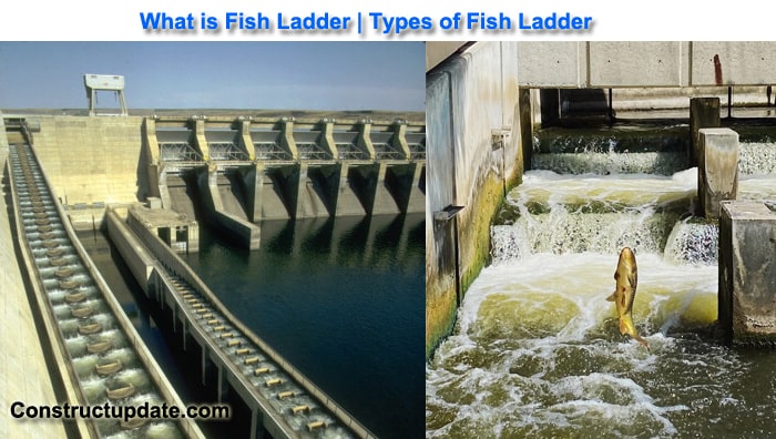 fish ladder