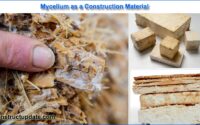 mycelium as a construction material