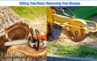 remove tree stumps