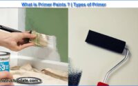 Primer paint types